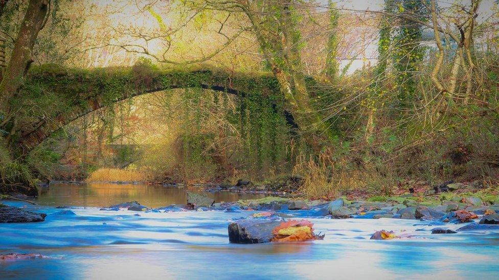 Ian Humphreys took this shot of 'the ivy bridge' at Maentwrog, Gwynedd