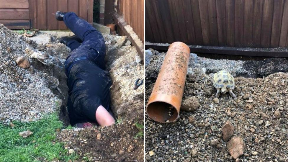 RSPCA officer digging for tortoise