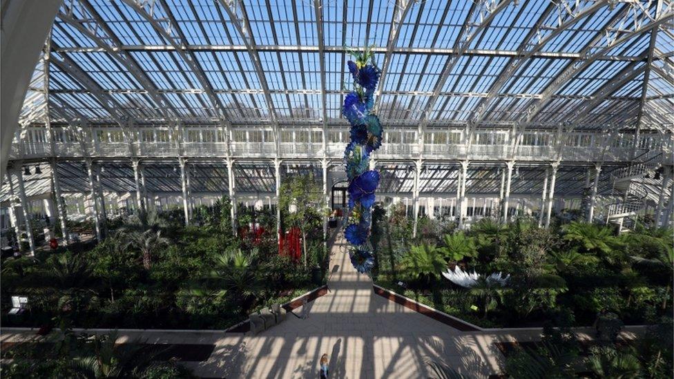 Kew Gardens, Surrey