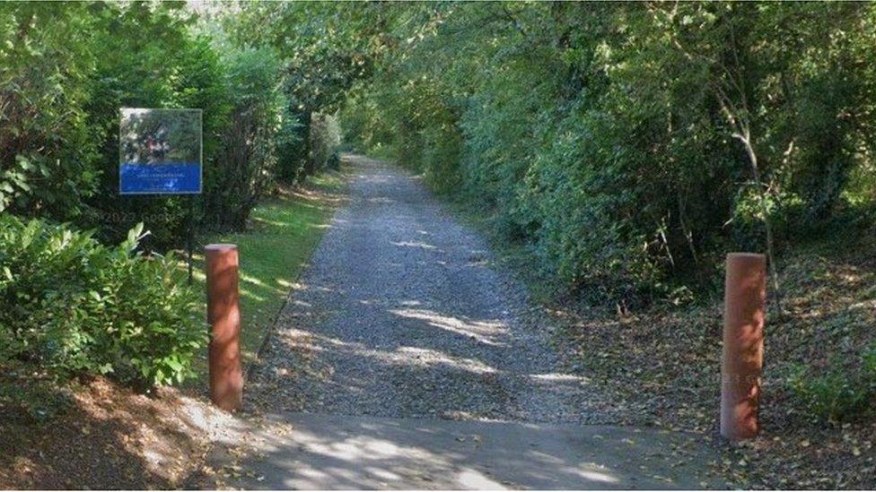 Wildmoorway Lane with greenery either side