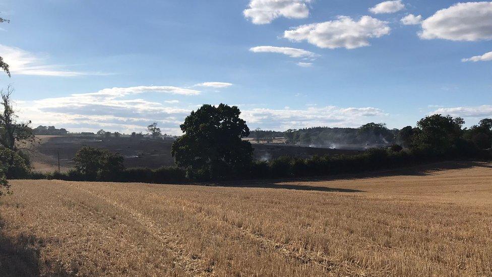 A picture of the field with blackened area from the fire