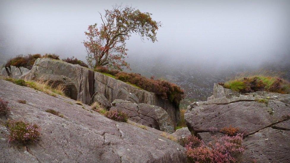 Ogwen Valley, Snowdonia