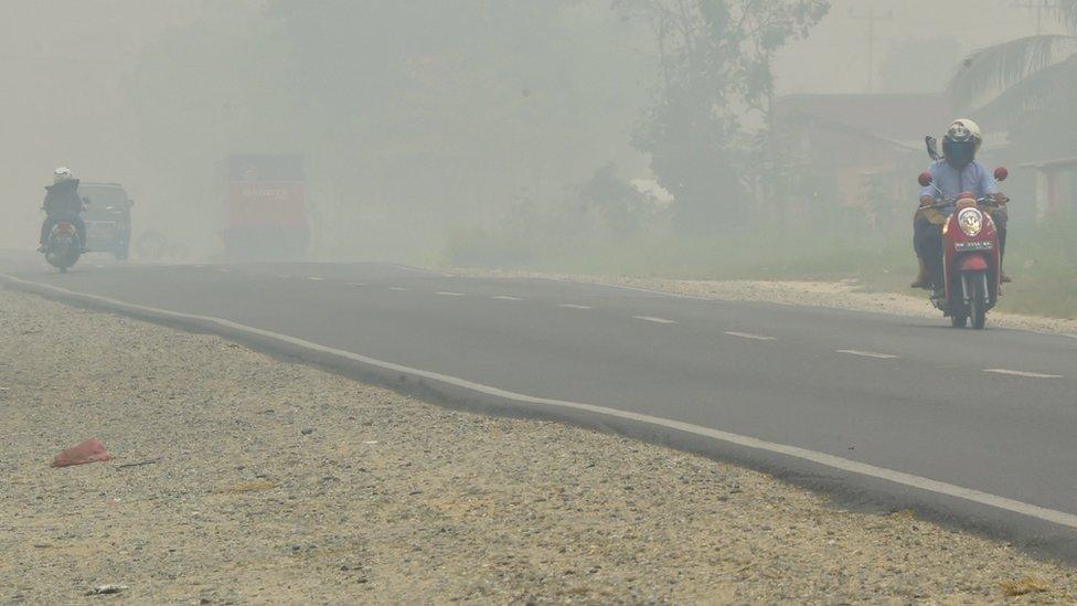 Motorists drive down a street as haze shrouds the area in Pekanbaru, Riau province on 14 September 2015.