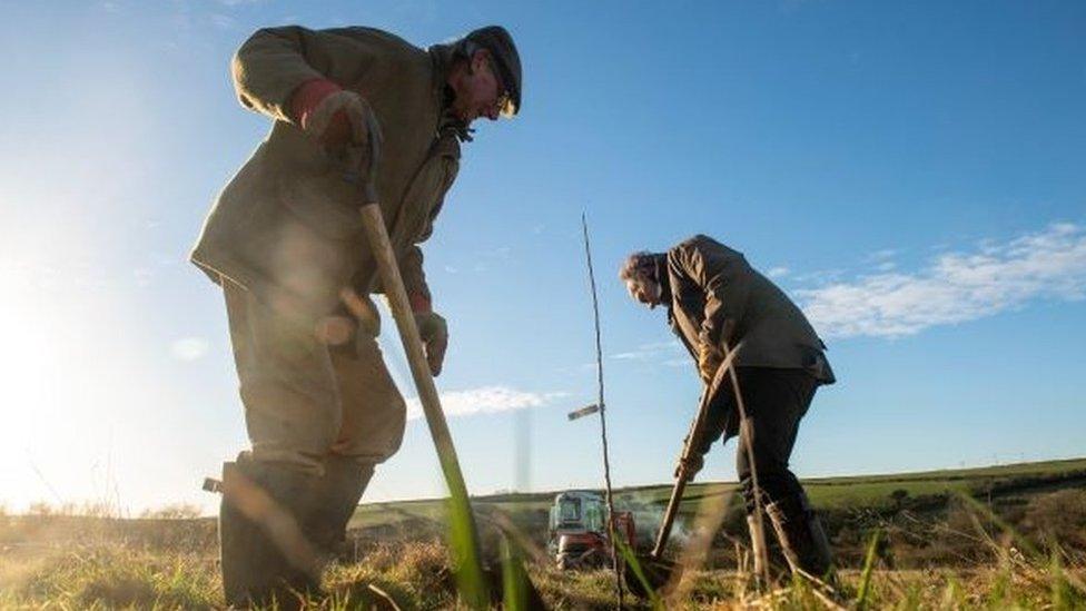 A photo of farmers