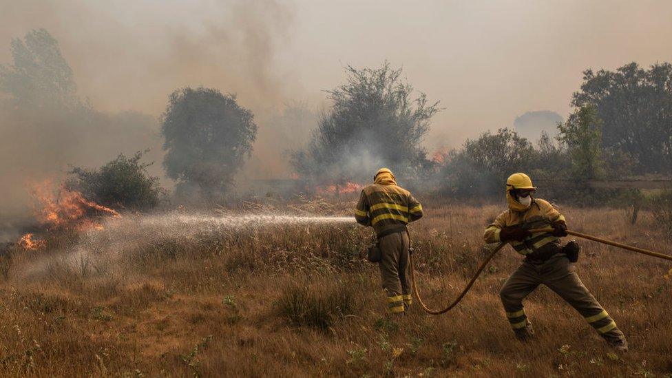 Firefighters trying to extinguish the fire in Zamora, Spain.