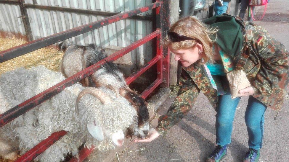 Feeding animals at Greenmeadow Community Farm