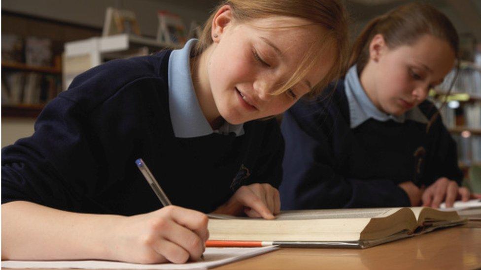 Schoolgirls doing classwork