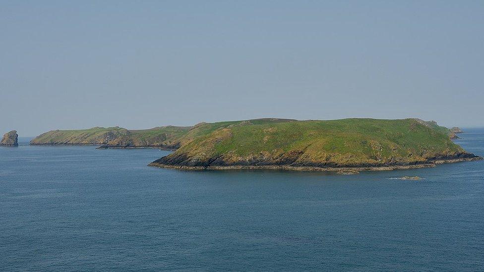 Ynys Sgomer