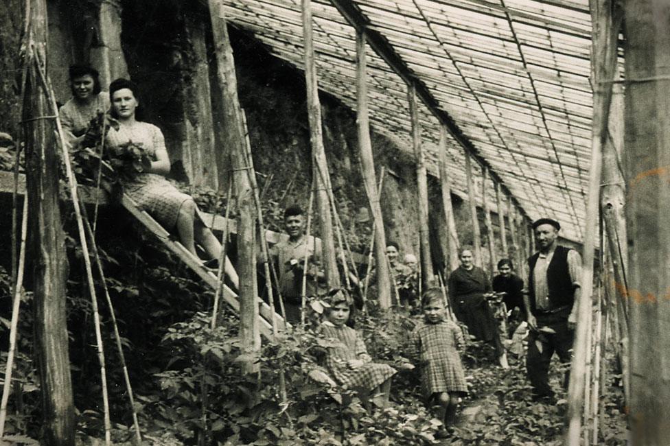 An earlier generation of basil growers in Pra