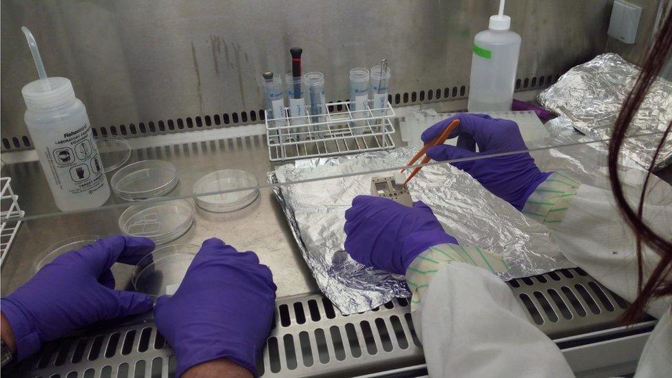 samples being prepared for the UK-led biomining-in-space experiment