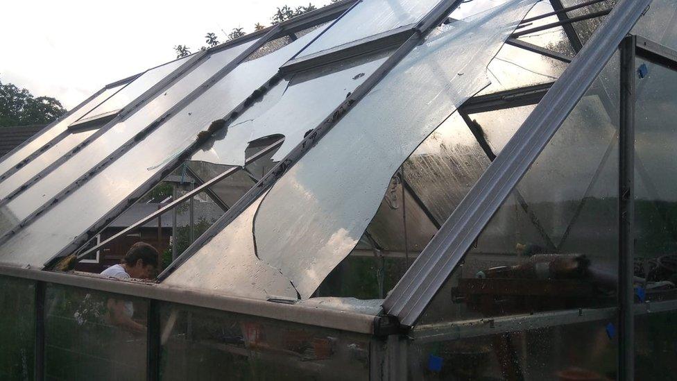 Greenhouse damage