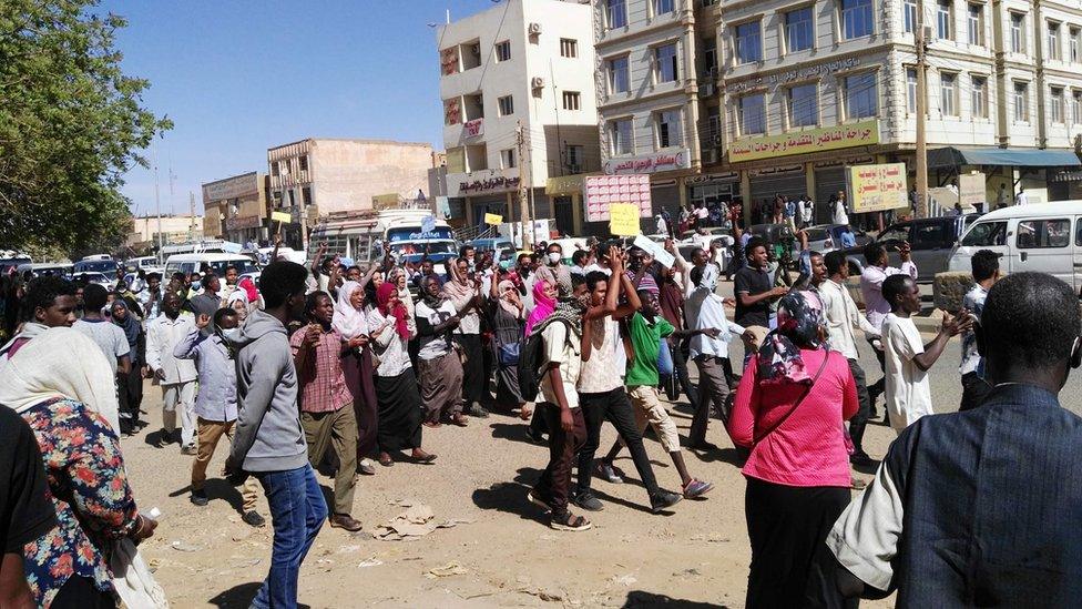 Protesters in Sudan, 20 January 2019