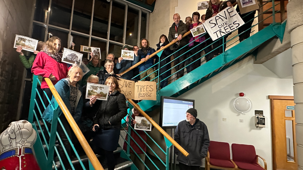 A group of people standing on the stairs holding signs asking for trees to be saved