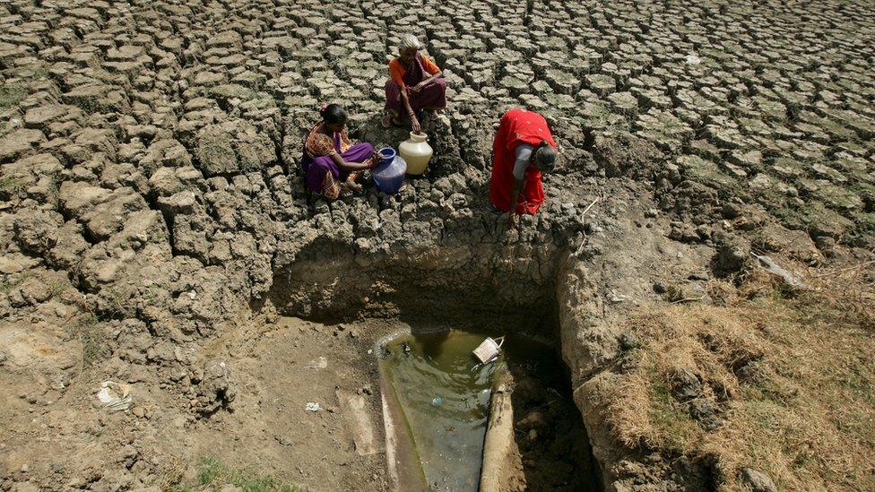 Women try to fetch water from an opening in a dried up lake in Chennai