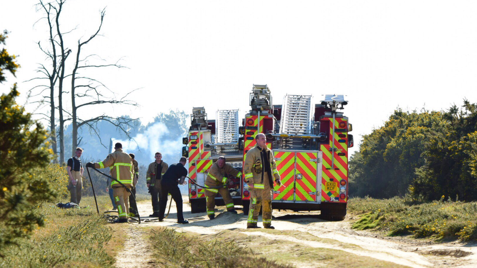 Blaze in the Ashdown Forest