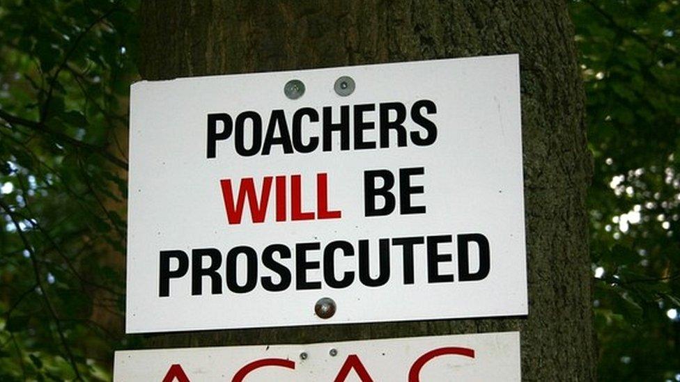 Poachers sign