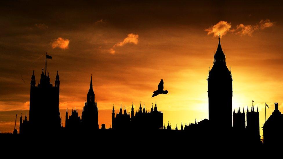 Houses of Parliament (with bird flying in the sky above) silhouetted against the October sunset