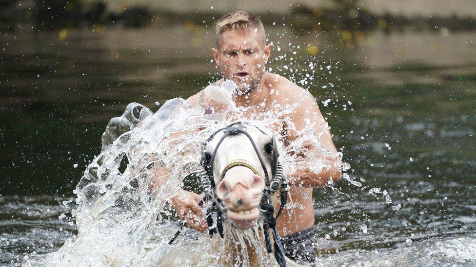 Horse and rider in the river