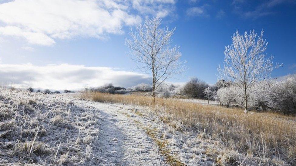 A frosty morning