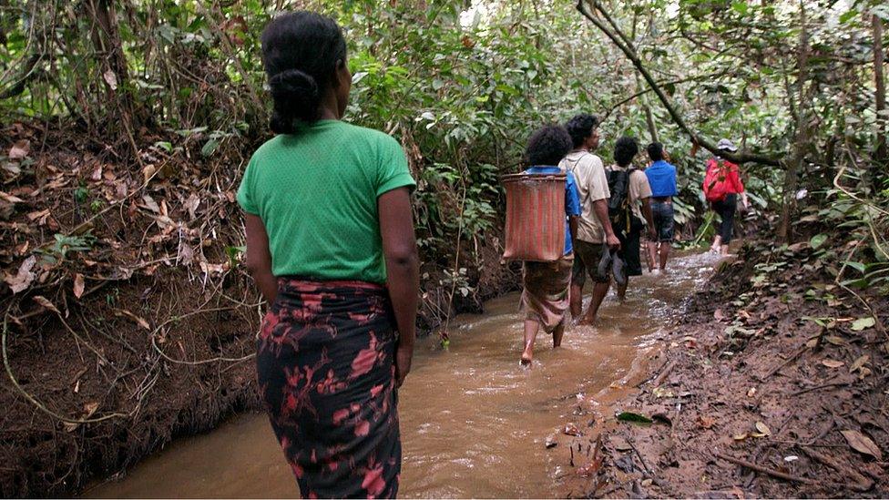 Orang Rimba people