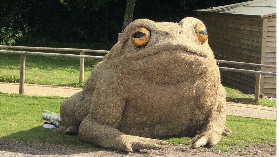 Frog sculpture made of straw at Longleat