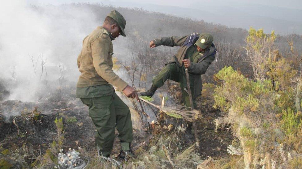 Worker stamping out fire on Kilimanjaro