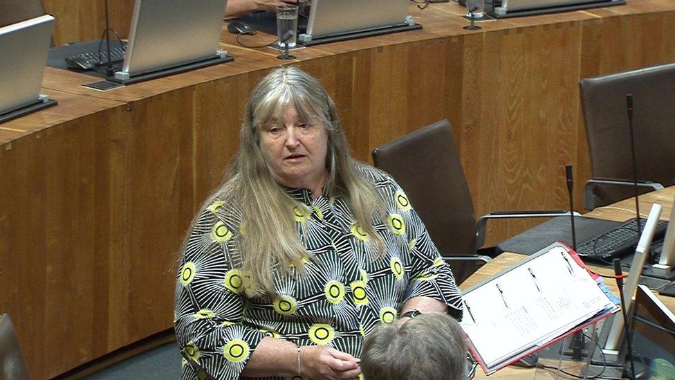 Julie James addressing the Senedd