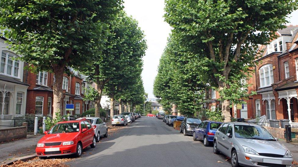 A tree-lined street in England