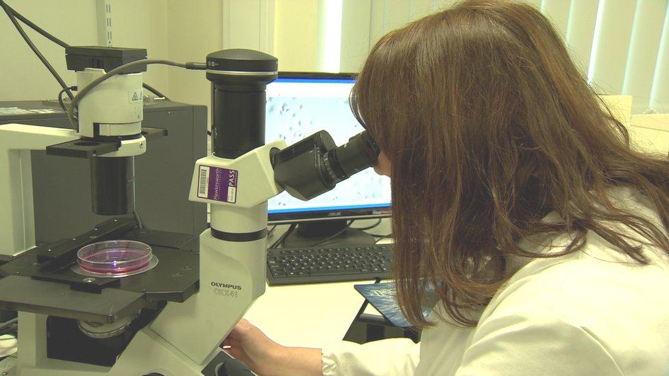 QUB bowel cancer research