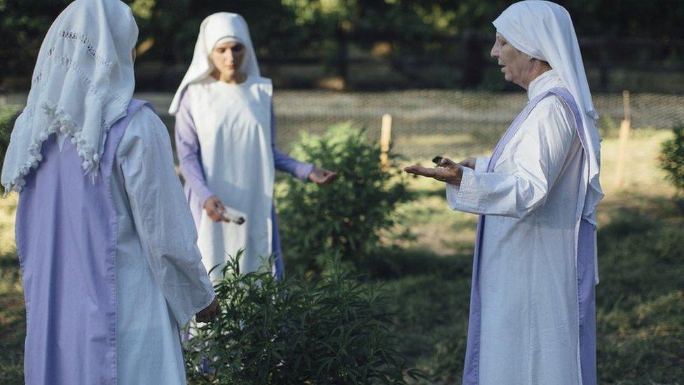 Sisters of the Valley with hash plant