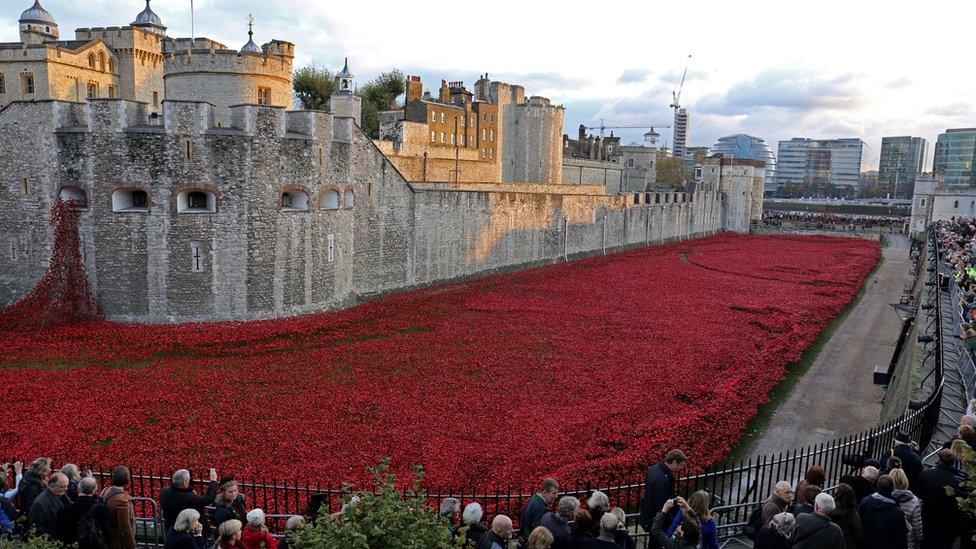 Poppies at the Tower of London