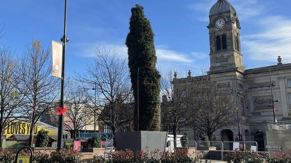 Christmas tree in Derby