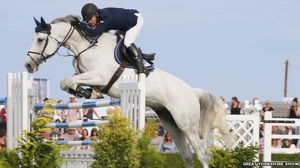 Horse jumping