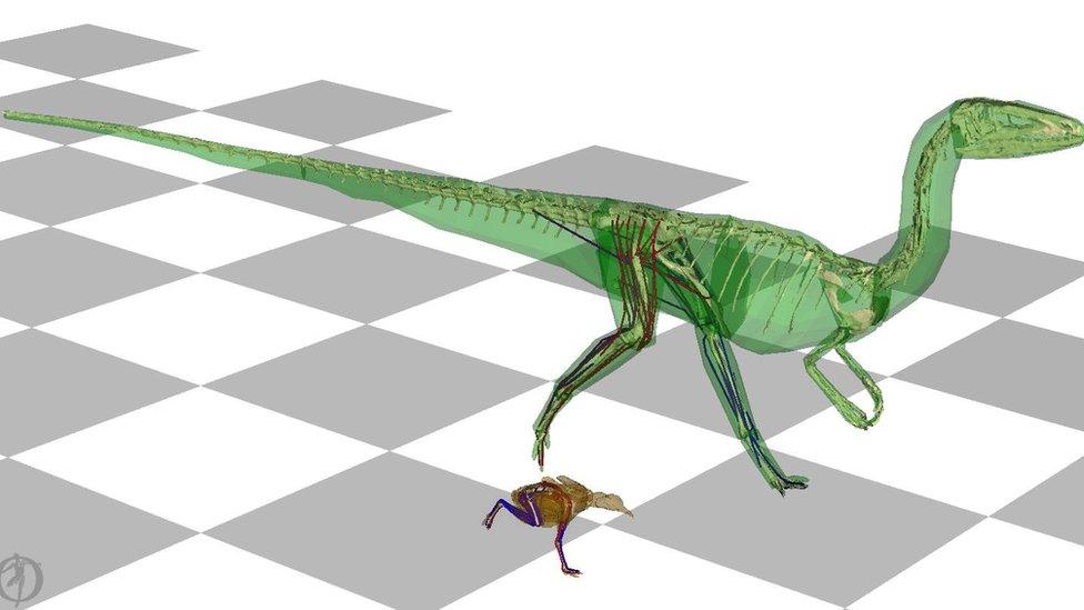 3D model simulation of dinosaur