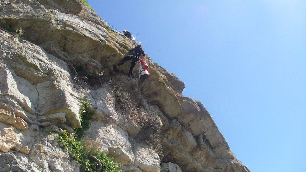 Goat being rescued