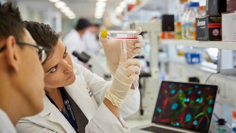 Cancer Council scientists examine a glass vial