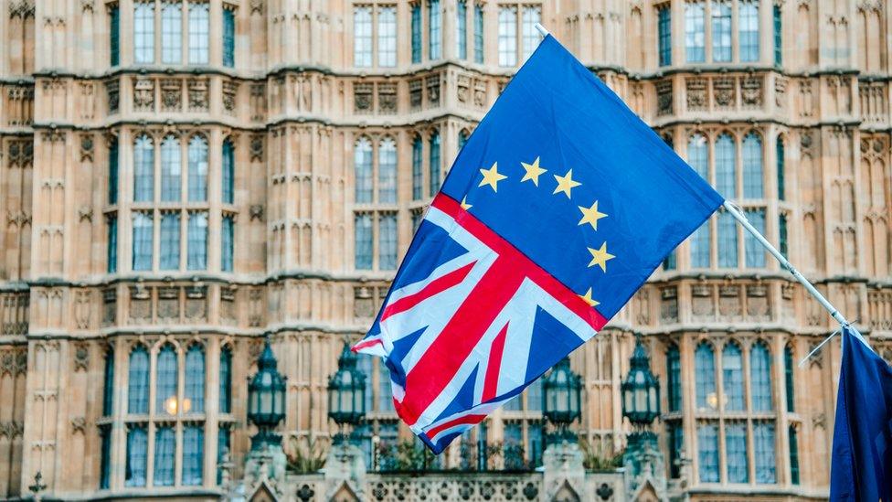 flags outside parliament