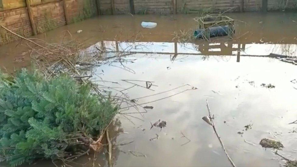 Flooded enclosure at UK Wild Otter Trust site