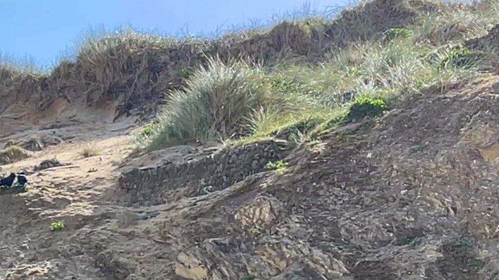 Historic farm boundaries in the cliff face at Crantock