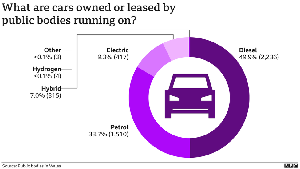 A graphic showing what cars in Wales' public sector run on