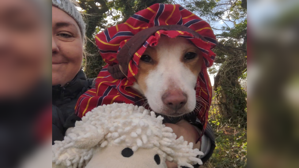 A dog dressed as a shepherd