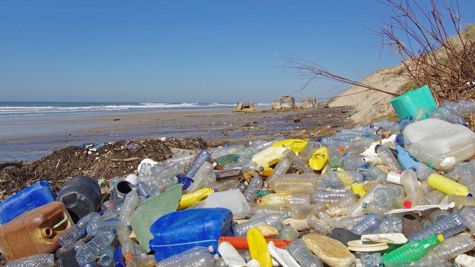 plastic bottles on a beach