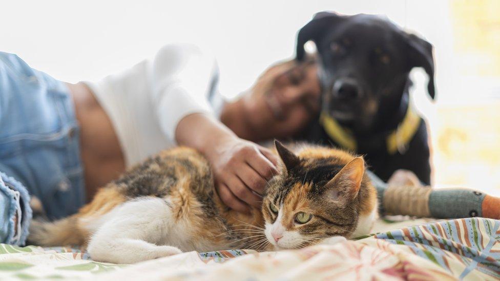 Woman with cat and dog lying on a bed