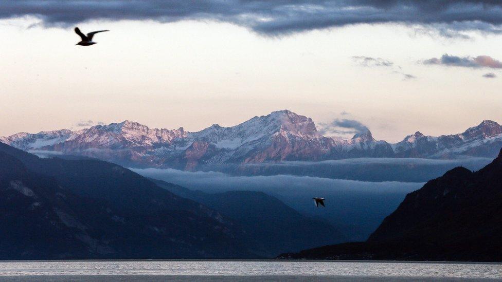 mountains_lake_and_birds_flying