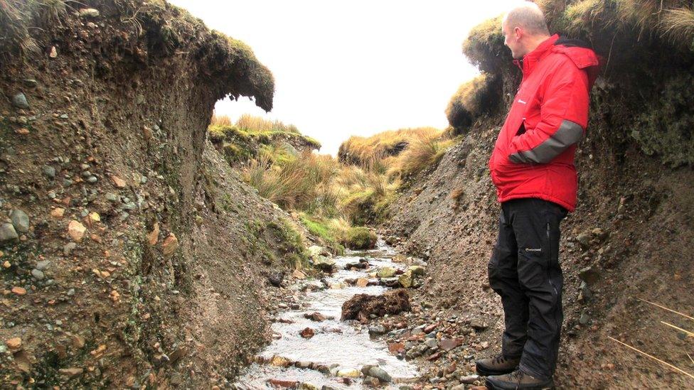 Gully at Bleng in Wasdale