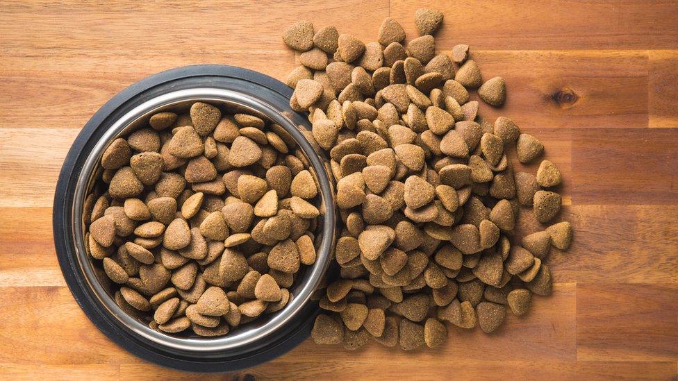 Dry dog food