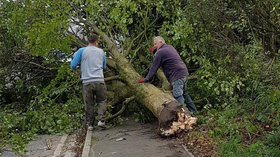 Ac ar ôl y storm, mae'r gwaith clirio'n dechrau yn Sir Gâr