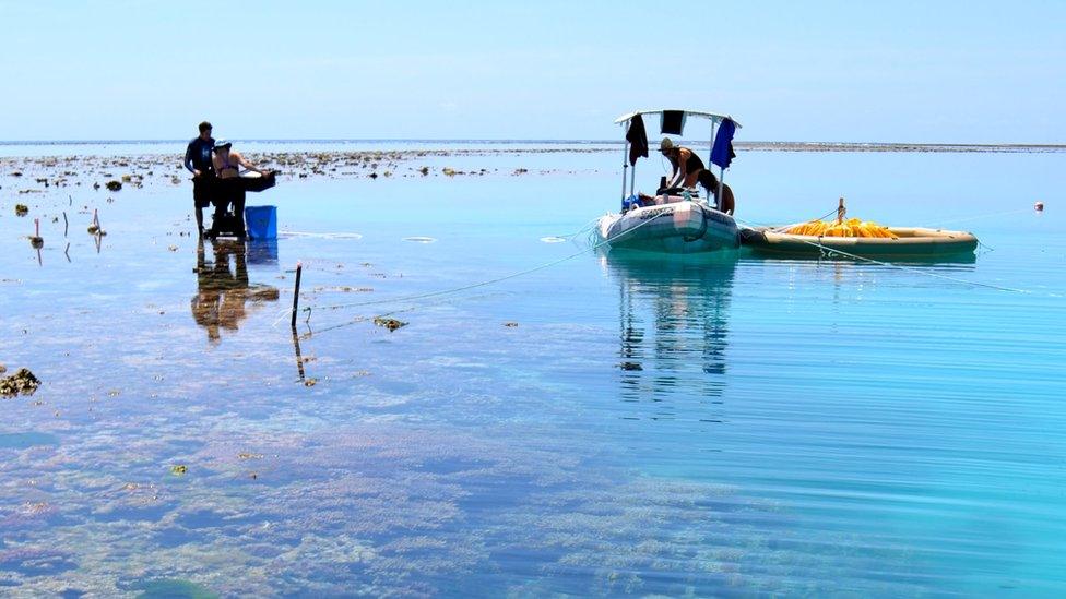 A coral reef in the foreground, two researchers standing in the water, one on an accompanying dinghy.