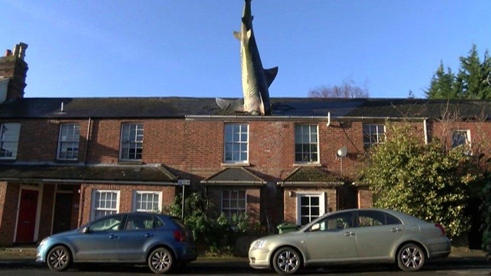 The Headington Shark