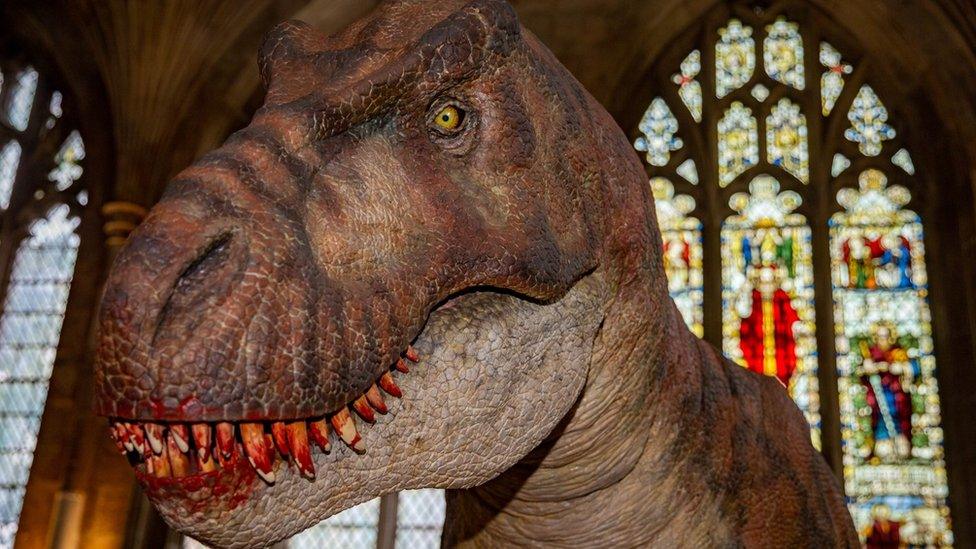 Close-up of dinosaur model